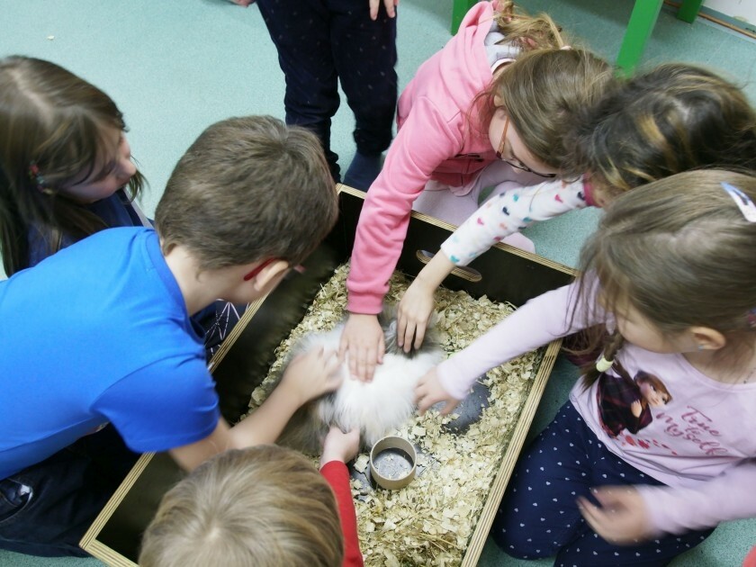 4. oddělení u zvířátek v SVČ Linka