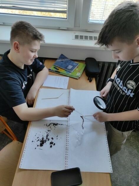 Žížalí detektivové